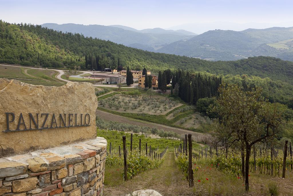 Agriturismo Panzanello 潘札诺 外观 照片