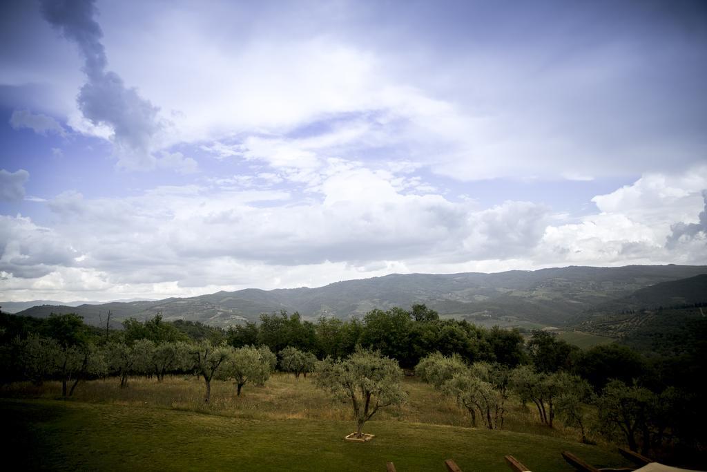 Agriturismo Panzanello 潘札诺 外观 照片